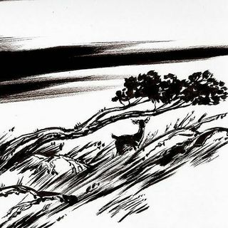 Profile Picture of Tobias Allen Wolf (@tobiasallenwolf) on Instagram