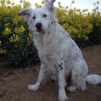 Profile Picture of Brian Cheney (@bcbeancounter) on Twitter