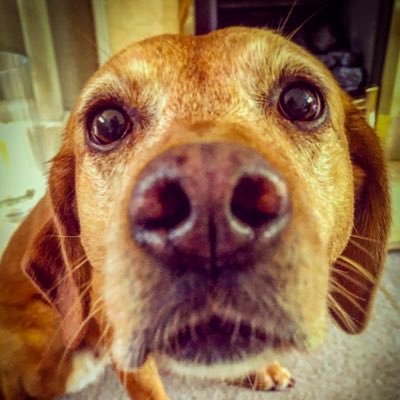 Profile Picture of Bill Temple (@bikeman9999) on Twitter