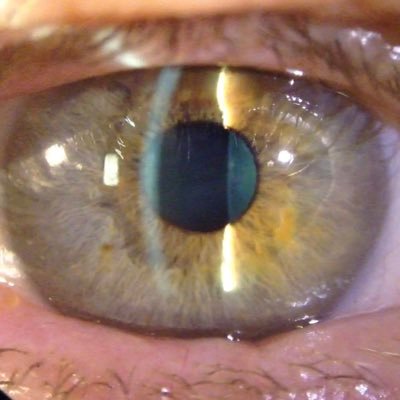 Profile Picture of Cliff Terry Md (@cliffterrymd1) on Twitter