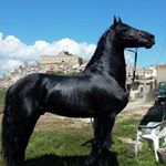 Profile Picture of Giuseppe Bartolone (@giuseppe.bartolone.3) on Instagram