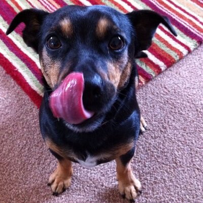 Profile Picture of Mark Moyer (@MKIIMark) on Twitter