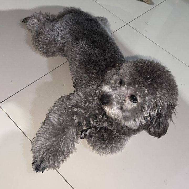 Bill - Tiktok Profile Picture of Bill (@billthen) on Tiktok