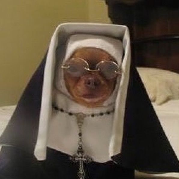 Profile Picture of paula (@paulatt_) on Tiktok