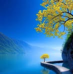 Profile Picture of Filloreta Gashi (@filloreta.gashi.963) on Facebook