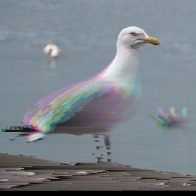 Profile Picture of Dan Dunlap (@seatrash) on Twitter