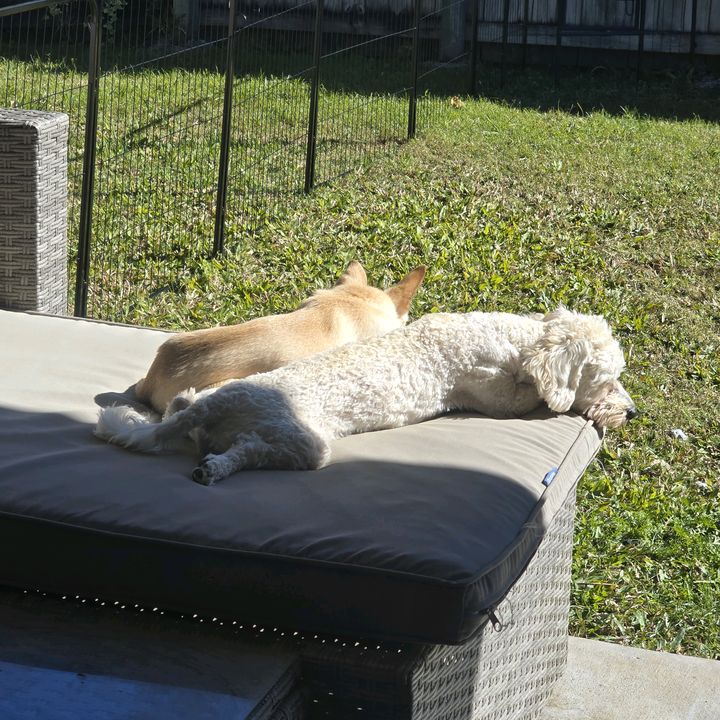 Profile Picture of Michael Bohn (@michaelb_songwriter) on Tiktok