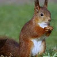 Profile Picture of Alan Prior (@alan-prior-18) on Quora