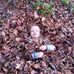Profile Picture of Mike Brady (@mike.brady.948011) on Facebook