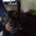 Profile Picture of Thaddeus Wade (@thaddeus.wade.50) on Facebook