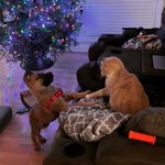 Profile Picture of Kendell Overby Theis (@kloey4) on Instagram