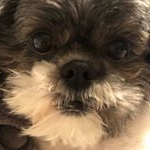 Profile Picture of Kim Barrett (@kbarrett83) on Instagram