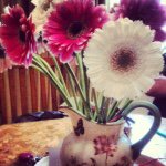 Profile Picture of Paula Quattrocchi (@paula_quattrocchi) on Instagram