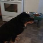 Profile Picture of Lori Carlson (@loricarlson5341) on Instagram