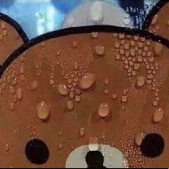 Profile Picture of Heather Blees (@uhcookie) on Poshmark