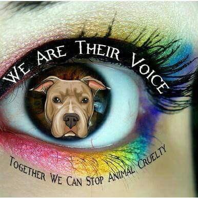 Profile Picture of Shellie Phillips (@Shellie02032709) on Twitter