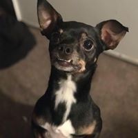 Profile Picture of Benjamin Montes (@benjamin-montes-4) on Quora