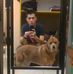 Profile Picture of David Shih (David Shih) (@david.shih.35110) on Facebook
