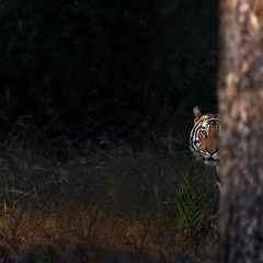 framig - Tiktok Profile Picture of framig (@miguelfrayre13) on Tiktok