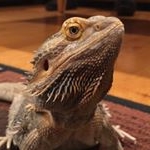 Profile Picture of Jeremy/Jenny (@jennydadragon) on Instagram