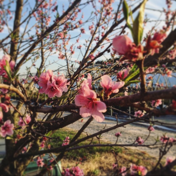Profile Picture of Ariel Meredith (@aesthetic_a) on Poshmark