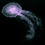 Profile Picture of Dennis H. Dame (@PoppedyPics) on Flickr