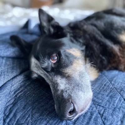 Profile Picture of Mark Bradshaw (@BradshawEnglish) on Twitter