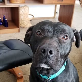 Profile Picture of Steve McClarnon (@Steve-McClarnon) on Facebook