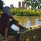 Profile Picture of Joshua Raleigh (@joshua.raleigh.351) on Facebook
