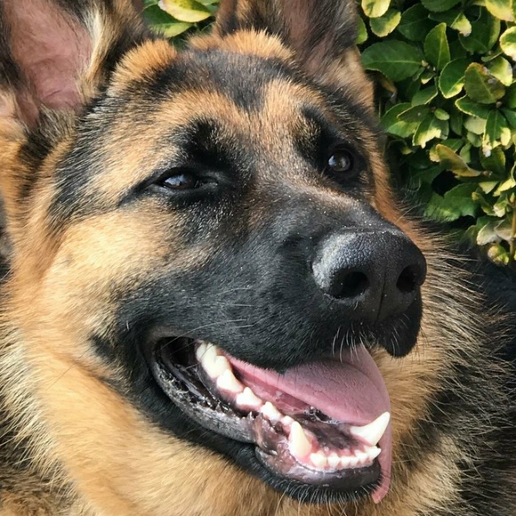 Profile Picture of Romaniy Romaniy (@romamemo) on Poshmark