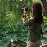 Profile Picture of Jennifer Tang (@gafird) on Flickr