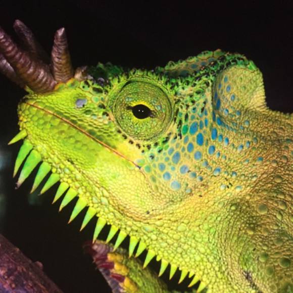 Profile Picture of Carson Billy (@carsonbilly) on Poshmark