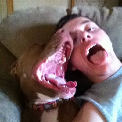 Profile Picture of Bradley (@bradleybramel) on Twitter