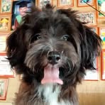 Profile Picture of James Laurito (@james.laurito.506153) on Facebook