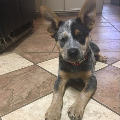 Profile Picture of Luke Rowland (@lukerowland112) on Twitter