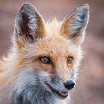 Profile Picture of Aaron Jarvis (@aaron.jarvis.photography) on Instagram