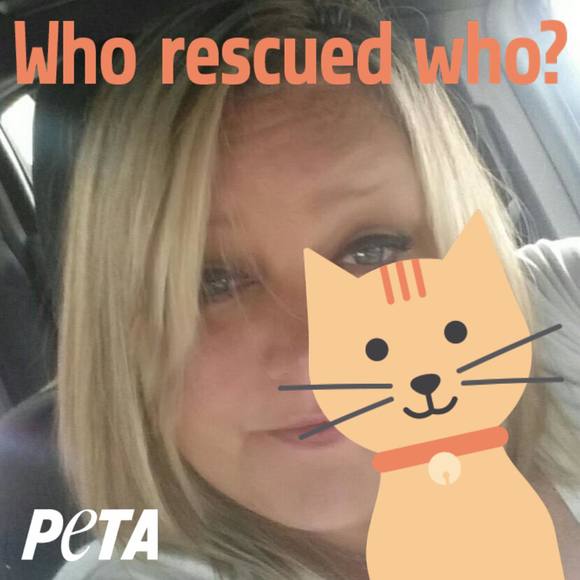 Profile Picture of Wendy Eckenroad (@wendyeckenroad) on Poshmark