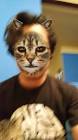 Profile Picture of   Néstor Montero (@neru_blue)... (@neru_blue) on Tiktok