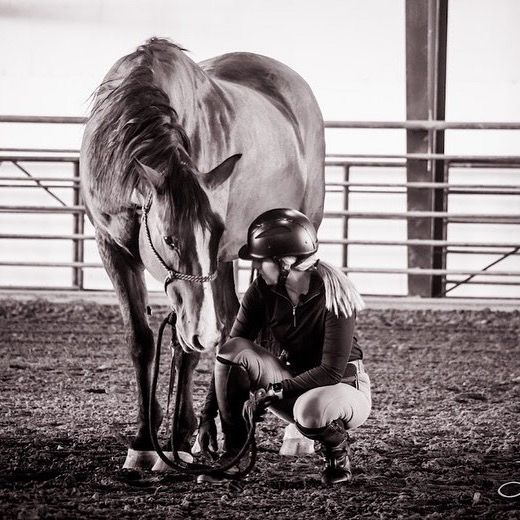 Profile Picture of Ashley Mancuso (@ashmanequestrian) on Tiktok