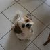 Profile Picture of Paul Nestler (@paul.nestler.35) on Facebook