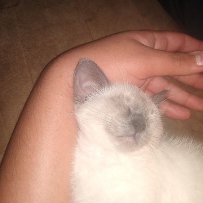 Profile Picture of Jeremy Olguin (@JeremyOlguin4) on Twitter