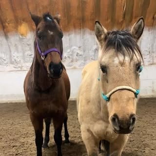 Profile Picture of Barry Christopherson (@christophersonbarry) on Instagram