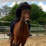 Profile Picture of anna tiemann (@roderath_island_verein) on Instagram