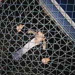 Profile Picture of ¥J0N&THAN$ (@jon.kruger_97) on Instagram