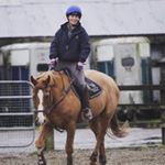 Profile Picture of Cleo Murphy (@fox_valley_equestrian) on Instagram