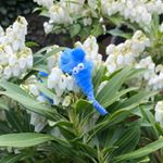 Profile Picture of 🌿arriving at worm town...🌿 (@worm.kingdom) on Instagram