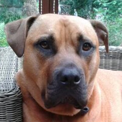 Profile Picture of Andy Rollinson (@AndyRollinson) on Twitter