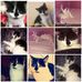 Profile Picture of Sarah Cornforth (@sarah.cornforth.3) on Facebook