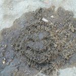 Profile Picture of Michael DeBell (@debellml502) on Instagram