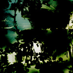 Lera Panfilova - Flickr Profile Picture of Lera Panfilova (@leraslens) on Flickr